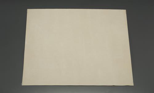 エスコ (ESCO) EA351BS-25 1000x1000x 1.2mm ｼｰﾄﾊﾟｯｷﾝ(超低面圧用) EA351BS-25