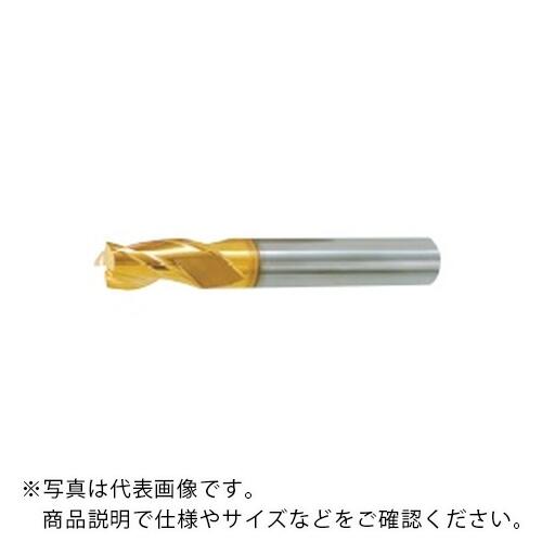 フジコシ G 標準尺度 挙げ句の果て圧砕機 3枚刃 ( 3GE30 )