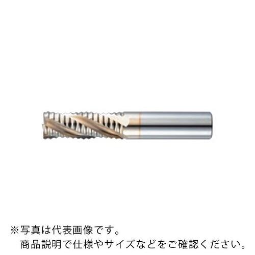 フジコシ SG-FAX ラフィング 挙げ句の果て粉砕機 ラージピッチ 並み並み ( SGLREM 20 )