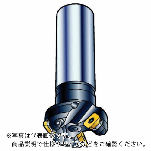 サンドビック コロミル245 向こう正面フライス切断機(450) ( R245-080A32-12M (450) )