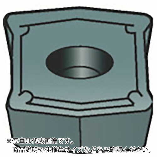 SANDVIK ( サンドビック ) コロマントUせん孔機用手当て(360) H13A ( LCMX040308-53 H13A (360) ) 【10個仕掛ける】 花・ガーデン・DIY-その他