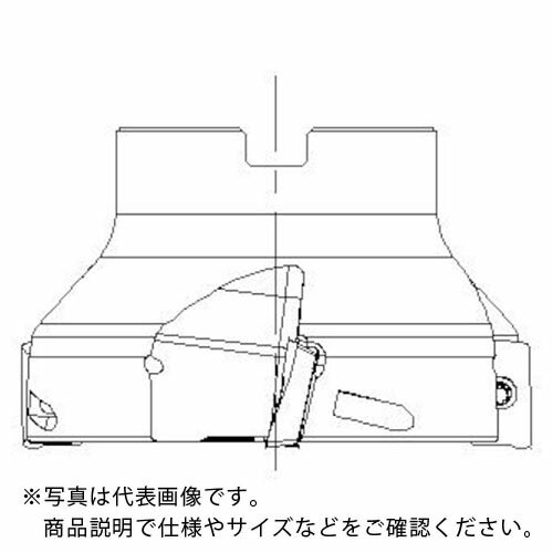 SANDVIK ( サンドビック ) コロミル390カッター(450) ( RA390S-100J31-17L (450) )