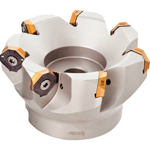 イスカル ダブIQ粉砕機 人間の顔粉砕機 IQ845 FSY-R07 ( IQ845 FSY D063-05-25.4-R07 )