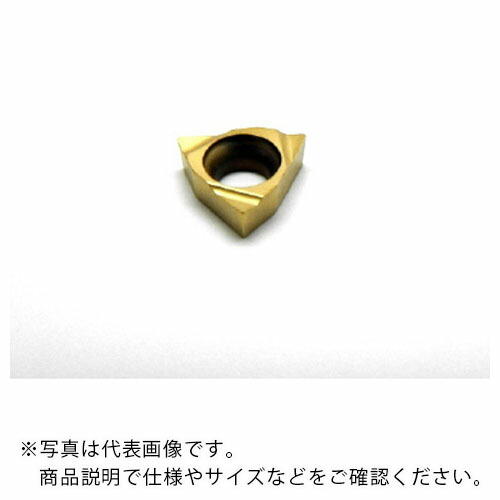 イスカル ISOターン チップ WBMT IC30N ( WBMT 060102L IC30N ) 【10個セット】