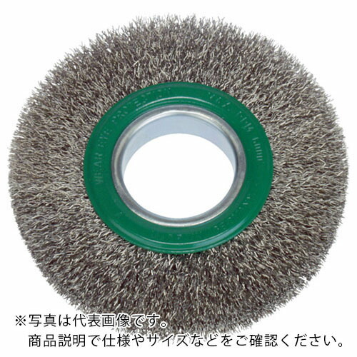 LESSMANN 箔毛はらい 100粍 0.3 ステンレス鋼線 ( 323363 )