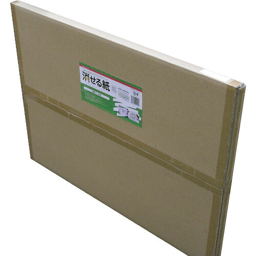 欧文印刷 消せる紙 A1(方眼50枚) ( M5CGSA1W50 ) 【2冊セット】 欧文印刷(株)