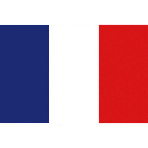 東京製旗 国旗No.1(70×105cm) フランス ( 416647 )