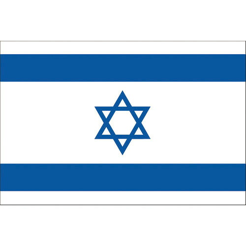東京製旗 国旗No.1(70×105cm) イスラエル ( 416124 ) 6,749円