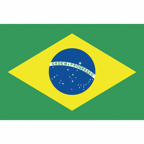 日本の首都製旗 少尉No.2(90×135糎) ブラジル連邦共和国 ( 426646 ) DIY・工具-その他
