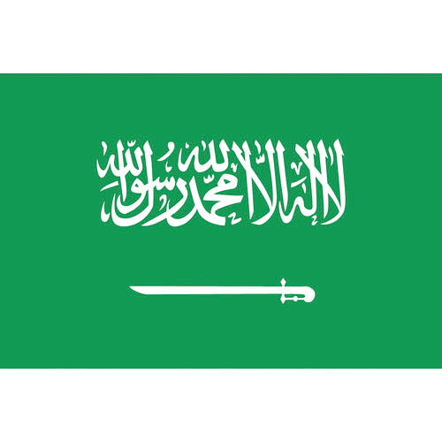 東京製旗 国旗No.2(90×135cm) サウジアラビア ( 426302 )