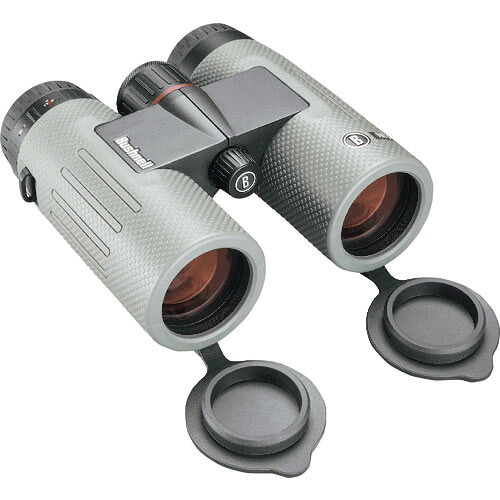 Bushnell ( かん木フランネル ) 小型望遠鏡 ニトロ 10×36 ( BN1036G )