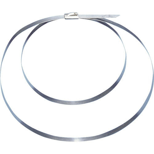 PANDUIT ( パンドウイット ) MLTタイプ 自動ロック式ステンレススチールバンド ダブルロックタイ SUS304 幅7.9mm 長さ470mm ( MLT2DH-L )