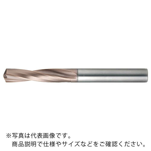 大見 ( 大見工業 ) 上塗りせん孔機 超硬Mせん孔機 刃径10粍 ( OSUSD-0100 )