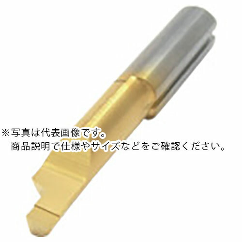 イスカル ピコカット小径ソリッドバー PICCO-010/610 IC228 ( PICCO R 610.3008-10 IC228 ) 【メーカー取寄】