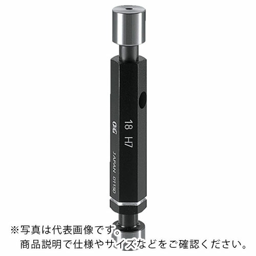 OSG ( オーエスジー ) 限界プレーンゲージm通止検査用 39919 ( PG-I-19(39919) ) 【メーカー取寄】