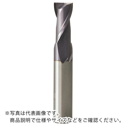 大見 ( 大見工業 ) 超硬2枚刃真四角(ロング) ( OES2L-0100 ) 【製造業者取寄】