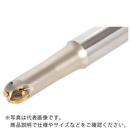 タンガロイ ボール・ラフ・ノーズ 柄付きカッタ EBRM ( EBRM20T25S220 )