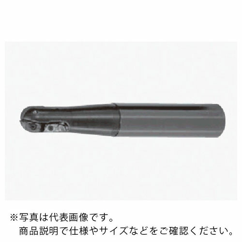 タンガロイ 中仕上げ加工用ボールエンドミル EBP ( EBP030LSE )
