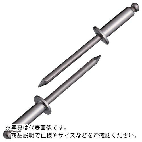 エビ ( ロブテックス ) ブラインドリベット(ステンレス/ステンレス製) 6-12(500本入) 箱入 ( NST612 )