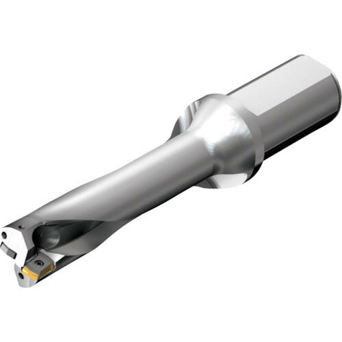 SANDVIK ( サンドビック ) コロドリルDS20刃先交換式ドリル(465) ( DS20-D2200L25-04 (465) )
