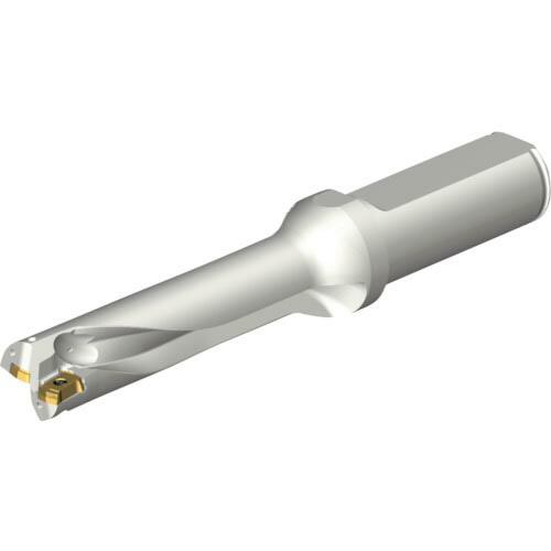 SANDVIK ( サンドビック ) コロドリルDS20刃先交換式ドリル(465) ( DS20-D1700L20-04 (465) )