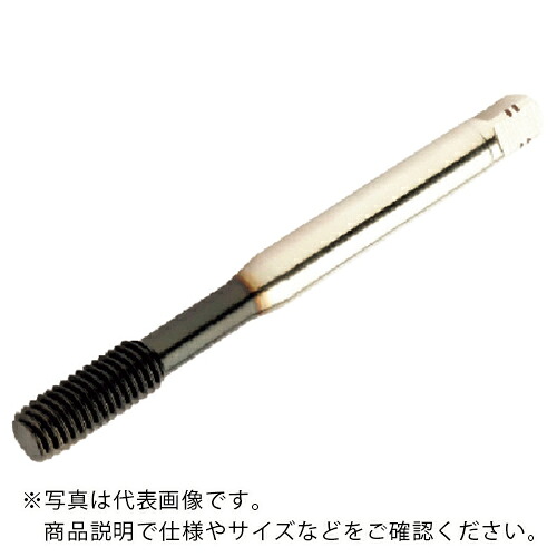 SANDVIK ( サンドビック ) コロタップ400 転造タップ(780) B105 ( T400-NM100DA-M6 B105 (780) )