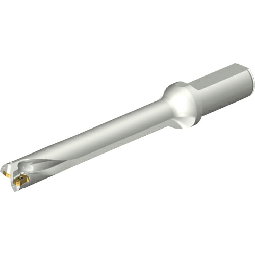 SANDVIK ( サンドビック ) コロドリルDS20刃先交換式ドリル(465) ( DS20-D2000L25-07 (465) )