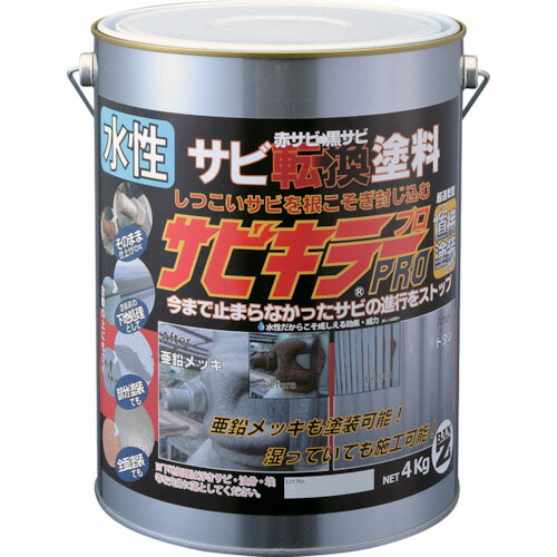 BANーZI ( BAN－ZI ) 錆うつり変わり絵の具 サビキラープロ 4kg しろがね色 ( A-SKP/K04S )