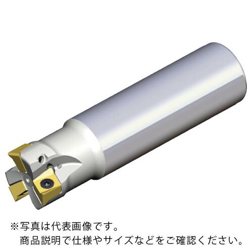 TAEGUTEC ( NTKカッティングツールズ ) ミーリングカッター チェイス4ミル ( 4N TE90-325-25-09-L210 )