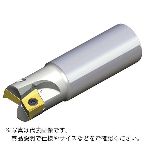 TAEGUTEC ( NTKカッティングツールズ ) ミーリングカッター チェイス4ミル ( 4N TE90-340-W32-14 )