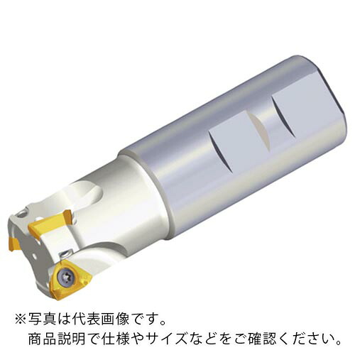 TAEGUTEC ( NTKカッティングツールズ ) ミーリングカッター ミルラッシュ ( 3P TE90-332-32-15-L150 )