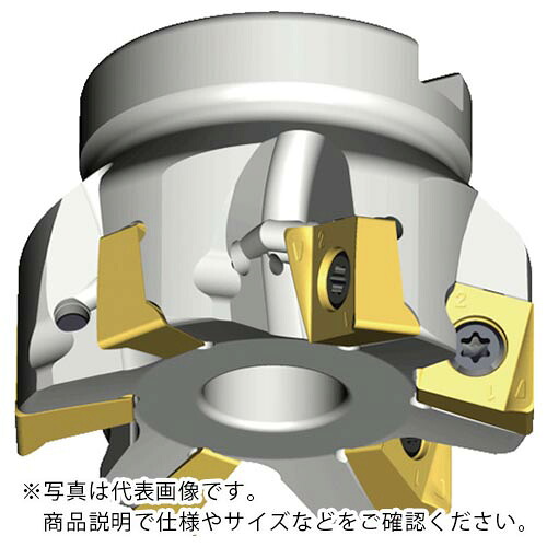 TAEGUTEC ( NTKカッティングツールズ ) ミーリングカッター チェイス4ミル ( 4N TF90-663-22R-14 )