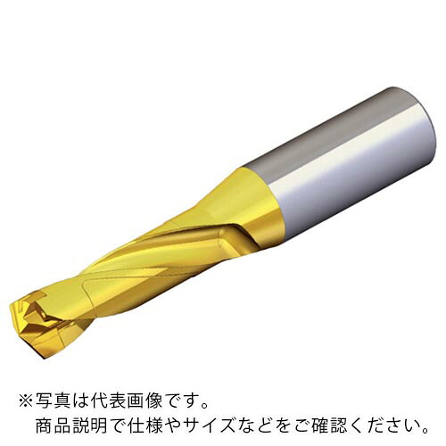 TAEGUTEC ( NTKカッティングツールズ ) 刃先交換式ドリルホルダー ドリルラッシュ ( TCD 250-259-32S0-3D )
