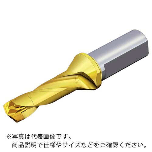 TAEGUTEC ( NTKカッティングツールズ ) 刃先交換式ドリルホルダー ドリルラッシュ ( TCD 150-159-20T3-3D )