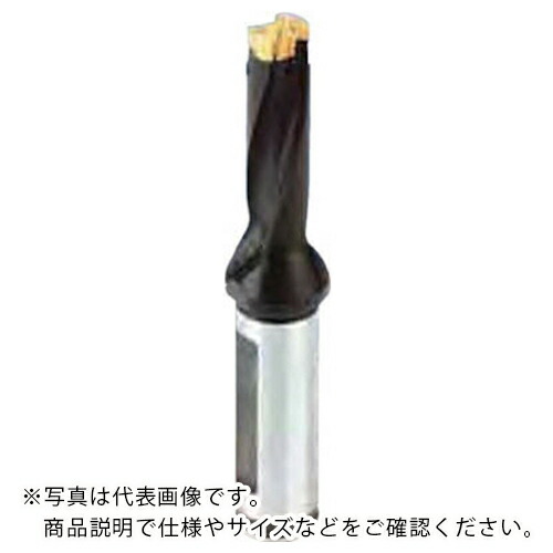 イスカル カムせん孔機 天々取り替えっこ式ドリルホルダ DCM-3D ( DCM200-060-25A-3D )
