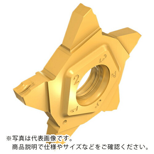イスカル ペンタカット チップ PENTA 24N-J IC1010 ( PENTA24N300J020IC1010 ) 【5個セット】