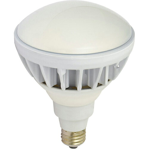 NICHIDO ( 日動工業 ) エコビック20W ( L20W-JW110-30K )