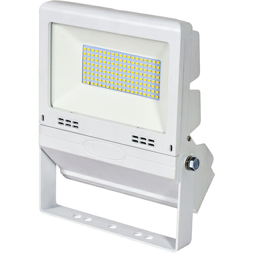 NICHIDO ( 日動加工 ) 坦々たるともし火50W 常設用 白 【白熱電球色】 ( LJS-FH50D-W-25K )