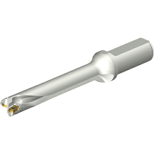 SANDVIK ( サンドビック ) コロドリルDS20刃先交換式ドリル(465) ( DS20-D1905LX25-06 (465) )