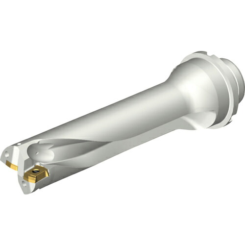 SANDVIK ( サンドビック ) コロドリルDS20刃先取り替えっこ式せん孔機(465) ( DS20-D3175DM32-04 (465) )