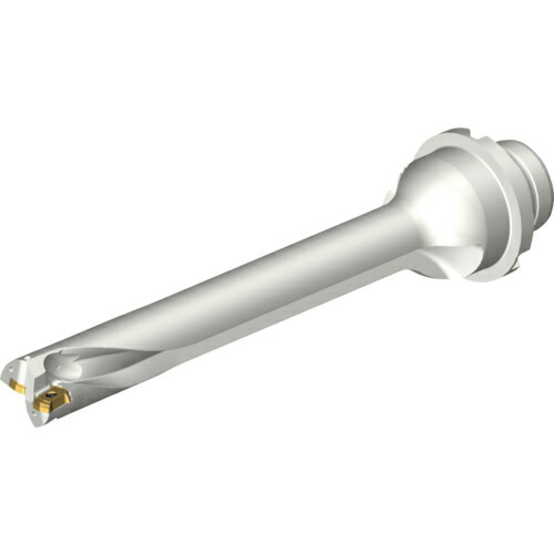 SANDVIK ( サンドビック ) コロドリルDS20刃先交換式ドリル(465) ( DS20-D1800DM25-07 (465) )