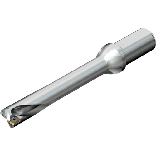 SANDVIK ( サンドビック ) コロドリルDS20刃先交換式ドリル(465) ( DS20-D3332LX38-06 (465) )