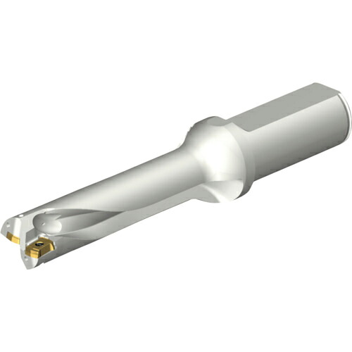SANDVIK ( サンドビック ) コロドリルDS20刃先交換式ドリル(465) ( DS20-D2062LX25-04 (465) )