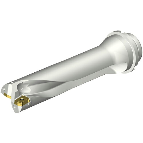 SANDVIK ( サンドビック ) コロドリルDS20刃先交換式ドリル(465) ( DS20-D4700DM50-04 (465) )