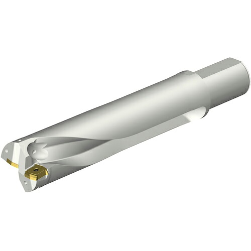 SANDVIK ( サンドビック ) コロドリルDS20刃先交換式ドリル(465) ( DS20-D6300L50-04 (465) )