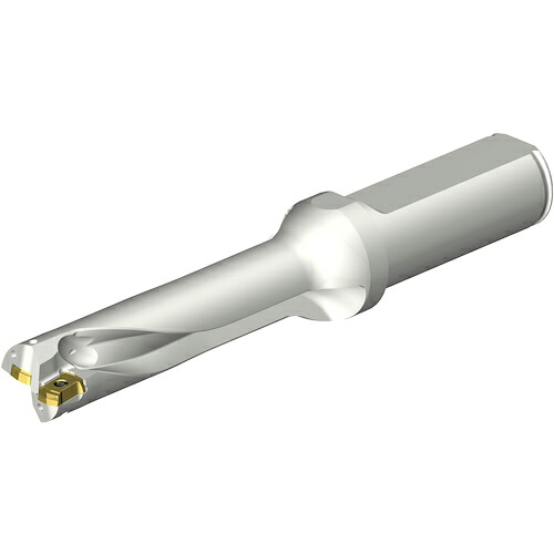 SANDVIK ( サンドビック ) コロドリルDS20刃先交換式ドリル(465) ( DS20-D1650L20-04 (465) )