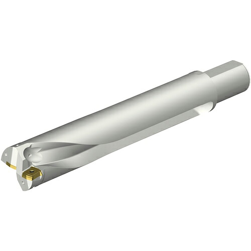 SANDVIK ( サンドビック ) コロドリルDS20刃先交換式ドリル(465) ( DS20-D6500L50-05 (465) )