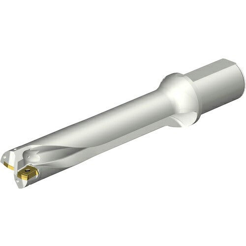 SANDVIK ( サンドビック ) コロドリルDS20刃先交換式ドリル(465) ( DS20-D4400L50-05 (465) )