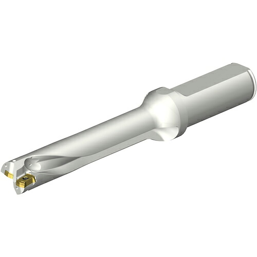 SANDVIK ( サンドビック ) コロドリルDS20刃先取り替えっこ式せん孔機(465) ( DS20-D1650L20-05 (465) )