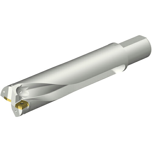 SANDVIK ( サンドビック ) コロドリルDS20刃先交換式ドリル(465) ( DS20-D6500L50-04 (465) )